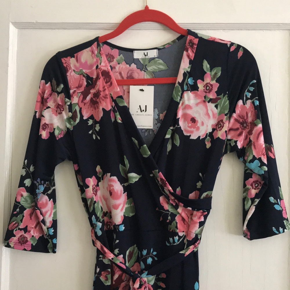 Amelia James Saratoga Dress NWT Medium